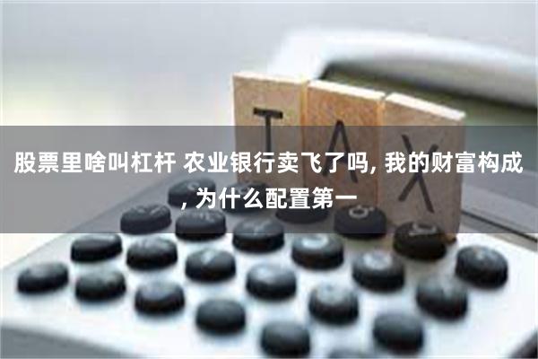 股票里啥叫杠杆 农业银行卖飞了吗, 我的财富构成, 为什