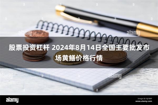 股票投资杠杆 2024年8月14日全国主要批发市场黄鳝价格行