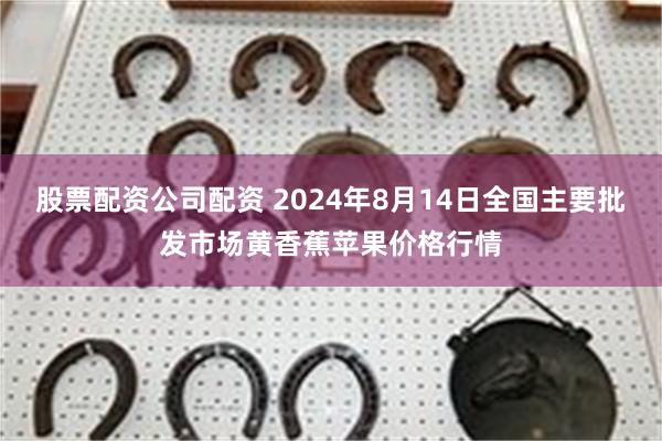 股票配资公司配资 2024年8月14日全国主要批发市场黄香蕉苹果价格行情