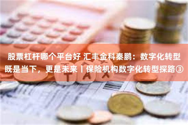 股票杠杆哪个平台好 汇丰金科秦鹏：数字化转型既是当下，更是未来丨保险机构数字化转型探路③