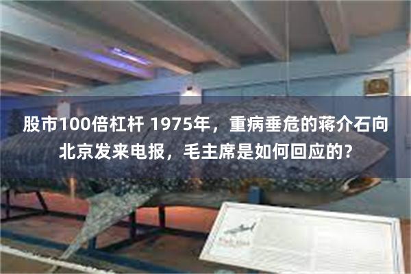 股市100倍杠杆 1975年，重病垂危的蒋介石向北京发来