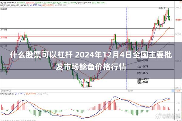 什么股票可以杠杆 2024年12月4日全国主要批发市场鲶鱼价格行情