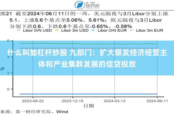 什么叫加杠杆炒股 九部门：扩大银发经济经营主体和产业集群发展的信贷投放