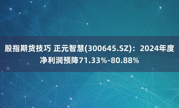 股指期货技巧 正元智慧(300645.SZ)：2024年度净利润预降71.33%-80.88%