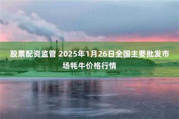 股票配资监管 2025年1月26日全国主要批发市场牦牛价格行情