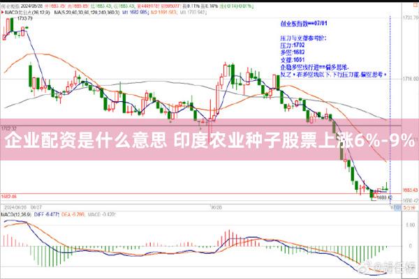 企业配资是什么意思 印度农业种子股票上涨6%-9%