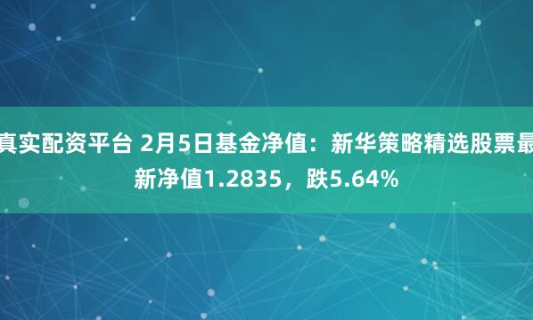 真实配资平台 2月5日基金净值：新华策略精选股票最新净值1.2835，跌5.64%