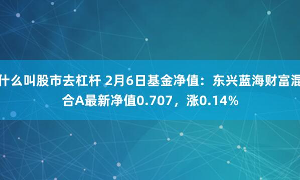 什么叫股市去杠杆 2月6日基金净值：东兴蓝海财富混合A最新净值0.707，涨0.14%